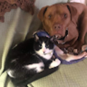 Meet your Posher, Nancy